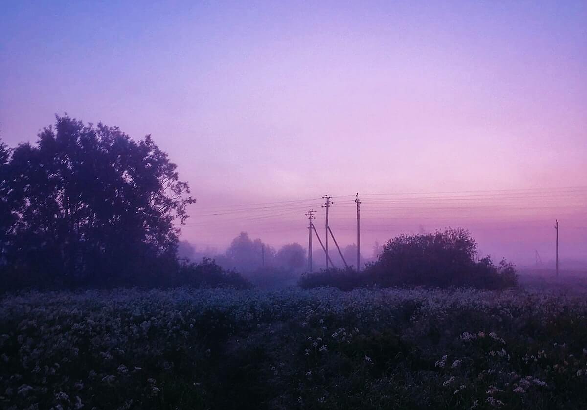 世界杯官方软件下载-​佩雷拉：战术赛前已商量好 让球队能够攻守平衡